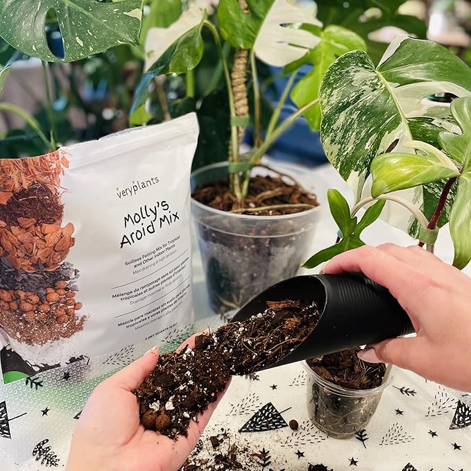 Molly's Aroid Mix - Premium Soilless Chunky Potting Mix for Tropical and Indoor Plants - Contains Orchiata Bark, Coco Chips, Worm Castings, Horticultural Charcoal, Mycorrhizae 5 Dry Quarts