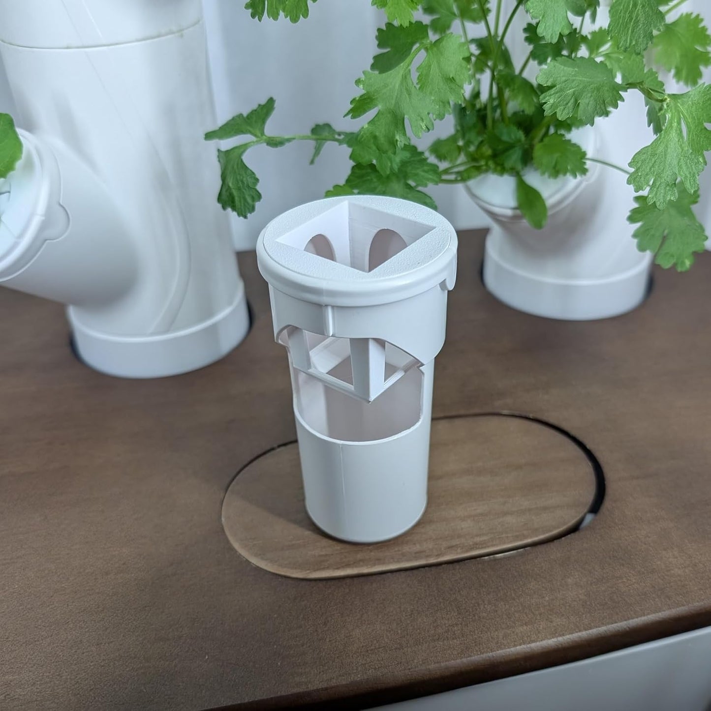 Grow Cubes for Hydroponic System/Compatible with Gardyn (20 Cubes+Rockwool)