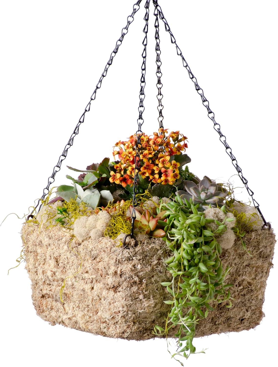 SuperMoss (29249D MossWeave Hanging Basket | Outdoor Hanging Planter with Moss | Decorative Plant Hanger for Porch, Balcony, Garden & Home Décor, Square, Small 10.5” D, Blond