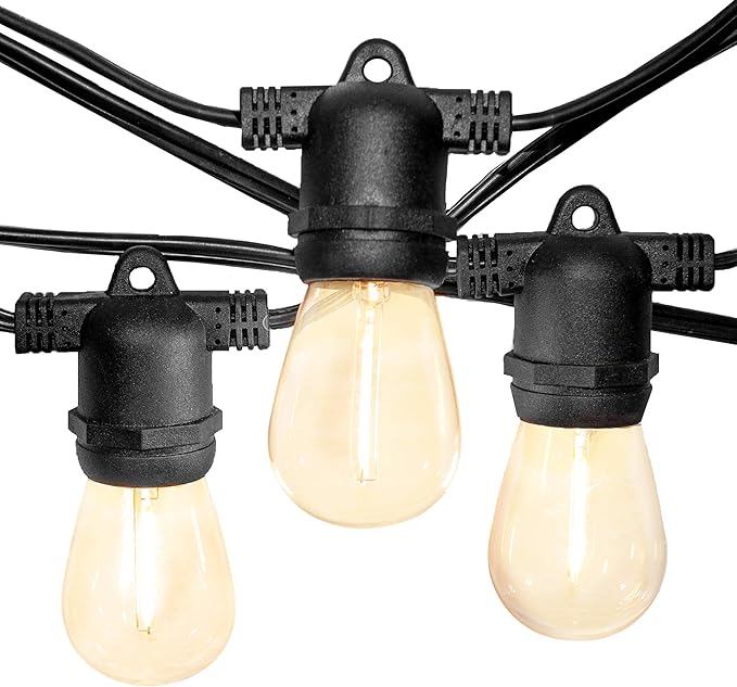Hometown Evolution, Inc. 100' E26 Commercial LED Outdoor String Lights (100 Foot 50 Socket, S14 LED Filament 1 Watt Light Bulbs)