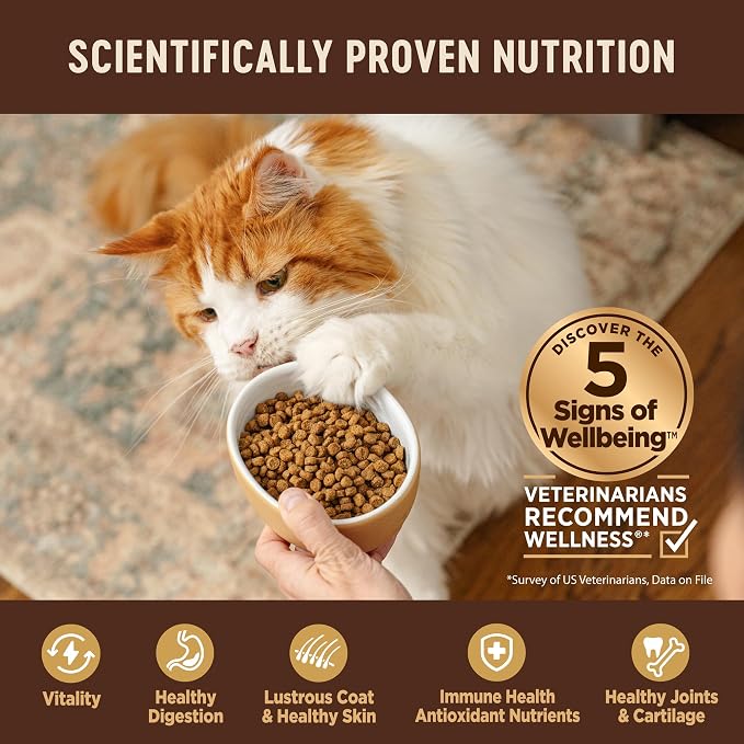 Wellness CORE Kitten Dry Cat Food, Grain Free Kibble, Turkey Meal and Chicken - Image 4