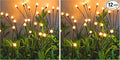 TONULAX Solar Garden Lights by TONULAX