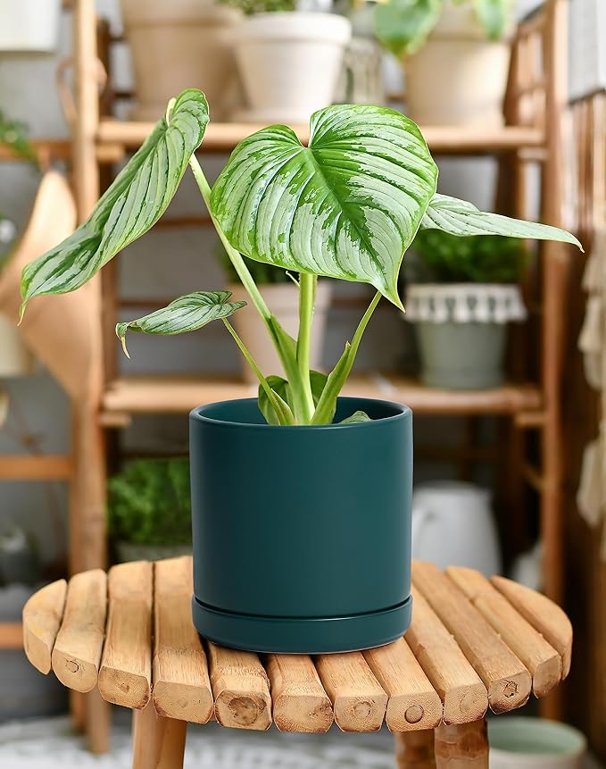 D'vine Dev 4.6 Inch & 6 Inch Ceramic Planter Pots for Plants with Drainage Hole and Saucer, Small Plant Pots Set, Teal, 94-G-S-9
