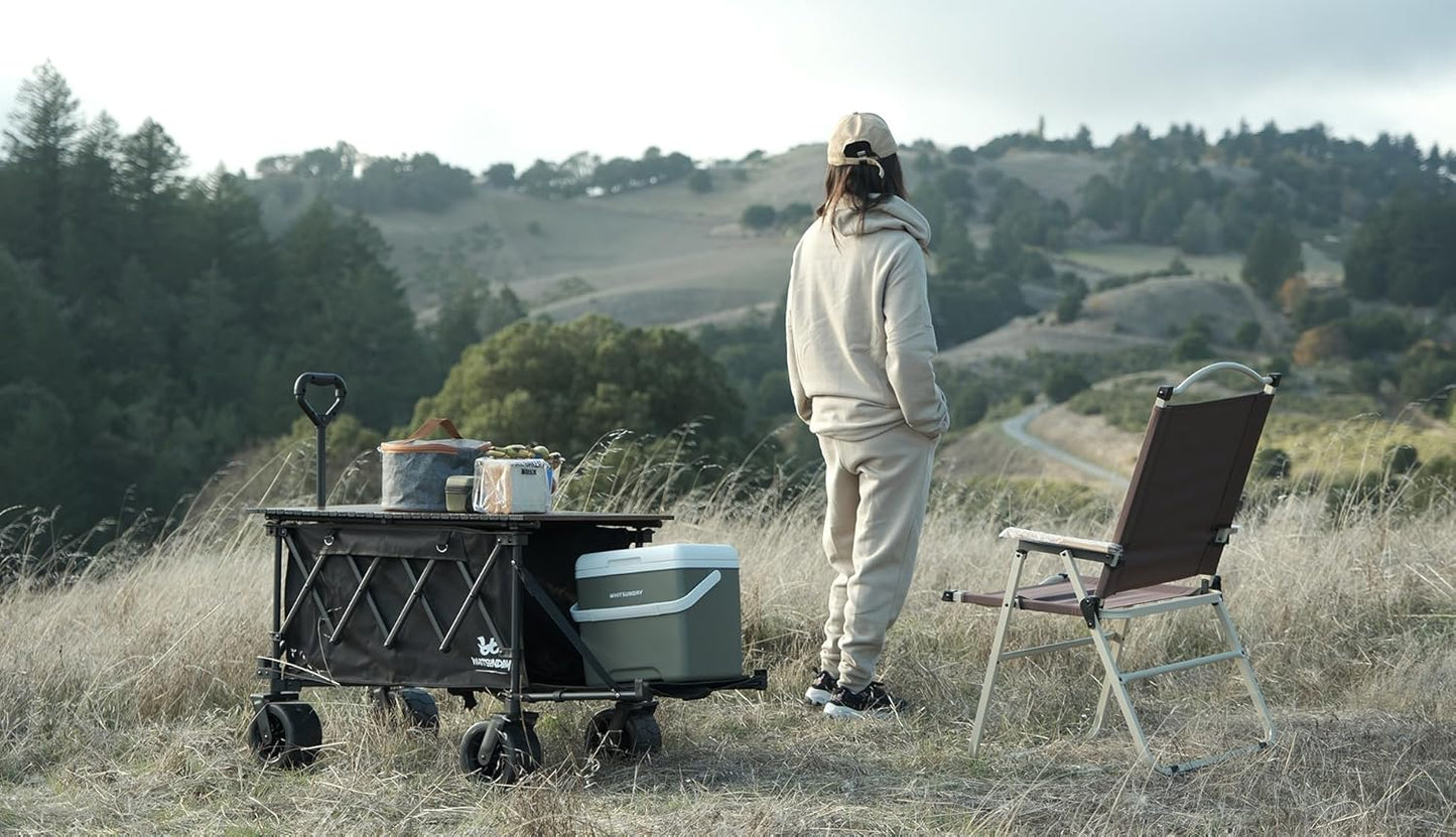 Whitsunday Collapsible Wagon with Tailgate and Big Wheel,Heavy Duty Utility Folding Wagons for Beach Camping Outdoor Black