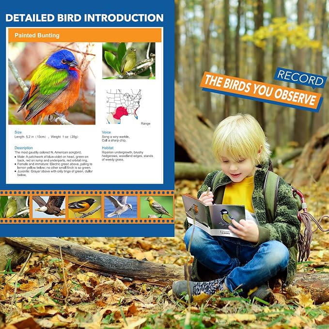 3-8 Year Old Boy Girl Toys: LET'S GO! Shockproof Binoculars - Image 4