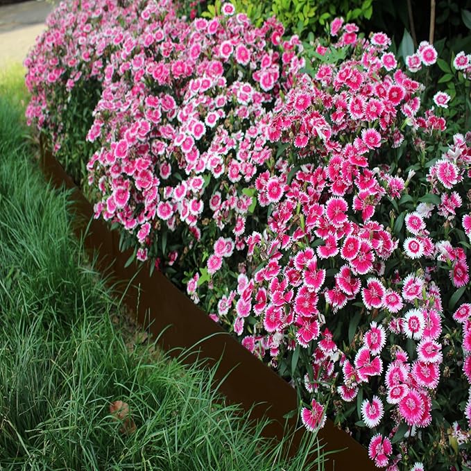 Steel Landscape Edging 40 Inch Strips, Steel Edging 4 Inch Depth, 6 Pack Hammer in Landscape Edging, Metal Landscape Edging, Metal Edging for Landscaping（Brown