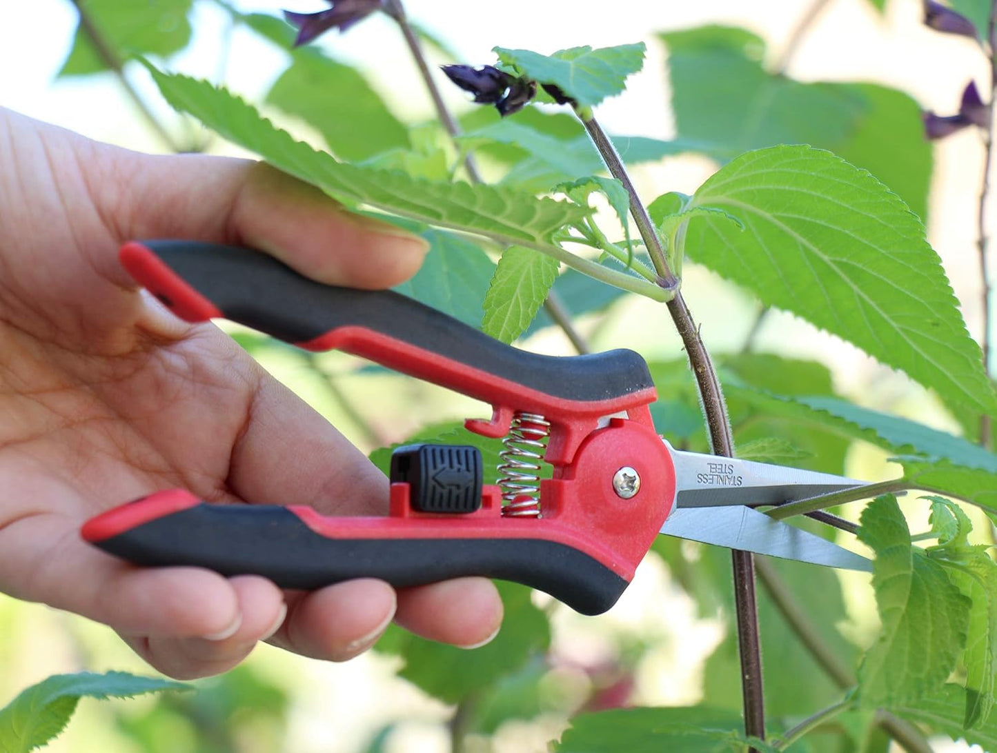 TABOR TOOLS 2-Pack Micro-Tip Pruners with Straight Blades and Fine Tip, Florist Scissors, Garden Snips with Stainless-Steel Non-Stick Precision Blades (2 Pack) (K27A)