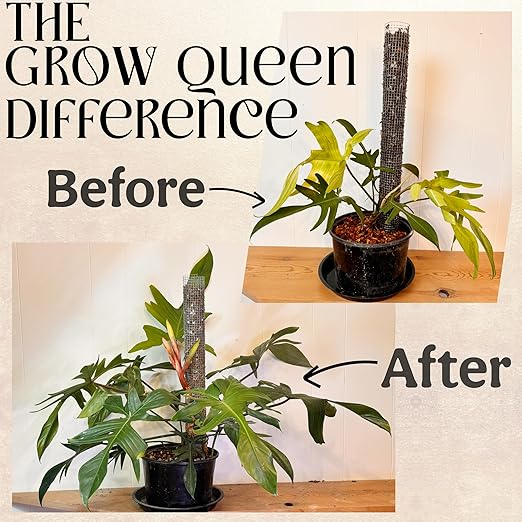 The All-in-One Complete Organic Plant Food, Indoor Plant Food for Houseplants, Organic Fertilizer for Vegetable Gardens, 1lb = 25 Formulated Servings Feeds 50 gal Instantly and Slow Release