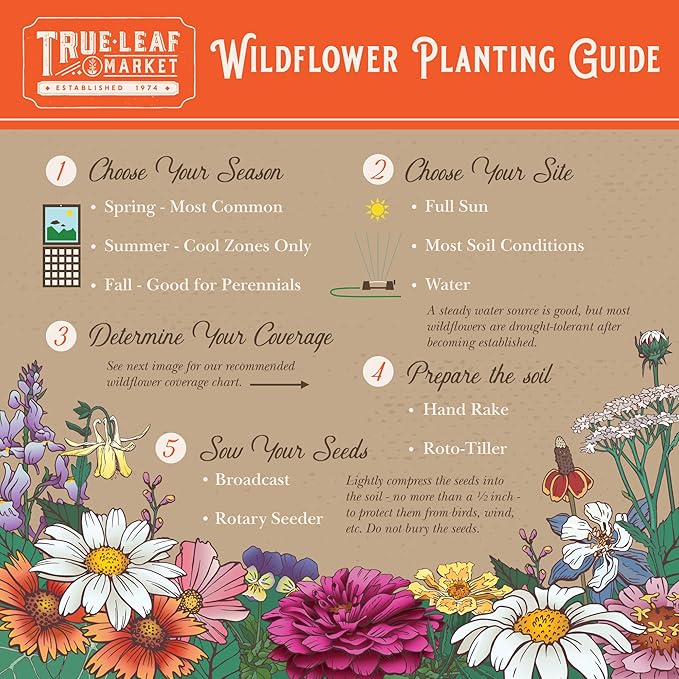 Rocky Mountain Wildflower Seeds Mix - 1 Lb Seed Pouch - 22 Wild Flower Seed Varieties - Annuals, Perennials and Bi-Annuals - Flower Garden
