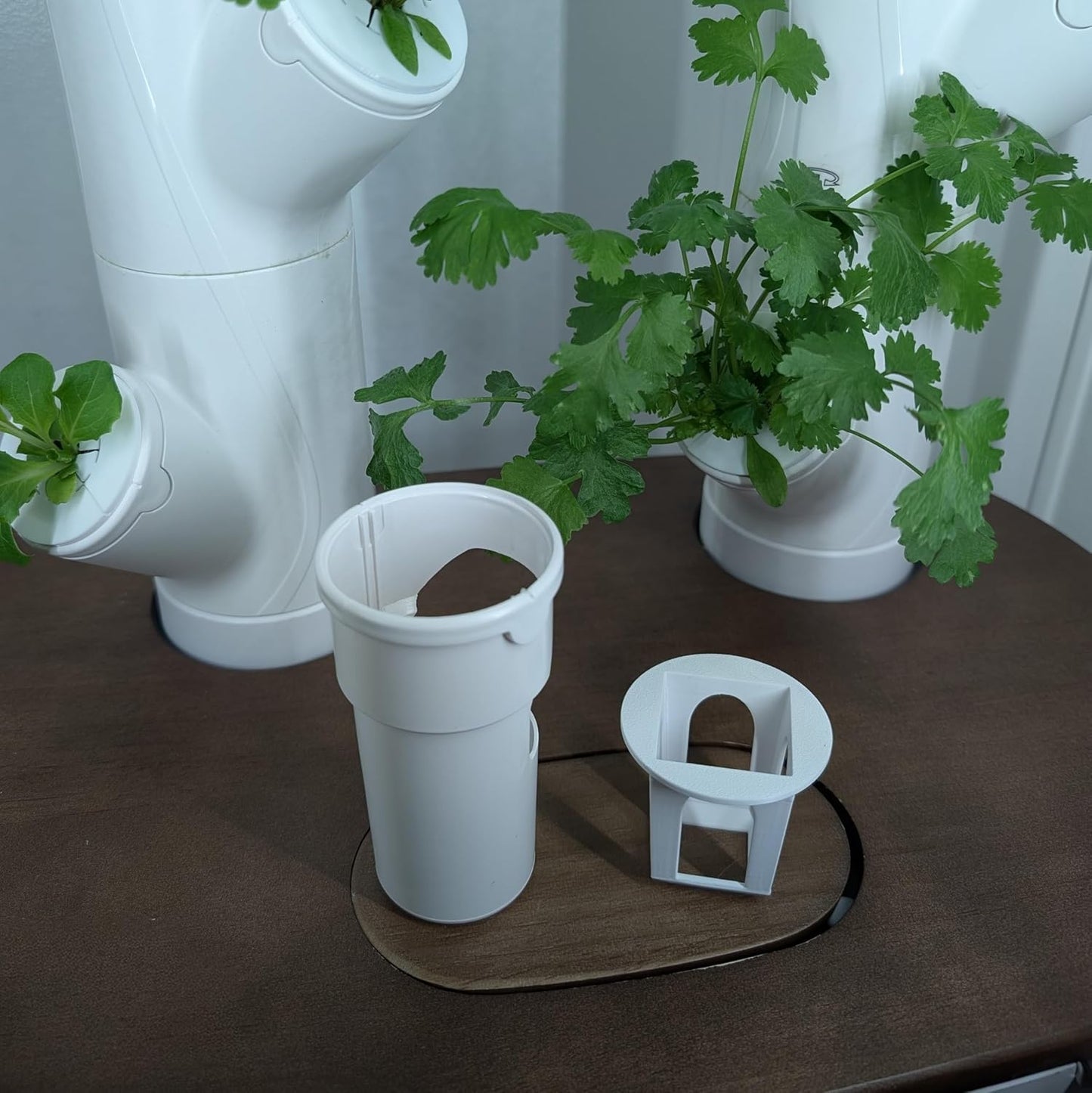 Grow Cubes for Hydroponic System/Compatible with Gardyn (10 Cubes+Rockwool)