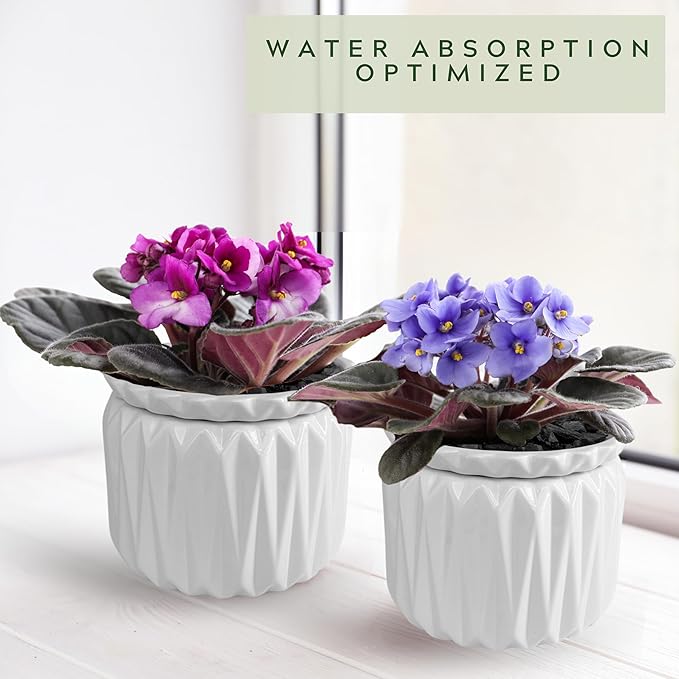 6 inch Self Watering Pot for Indoor Plants, African Violet Pot Ceramic, Flowers Planter (4 inch Opening), Holds 3 Weeks of Water (2 Pack White)