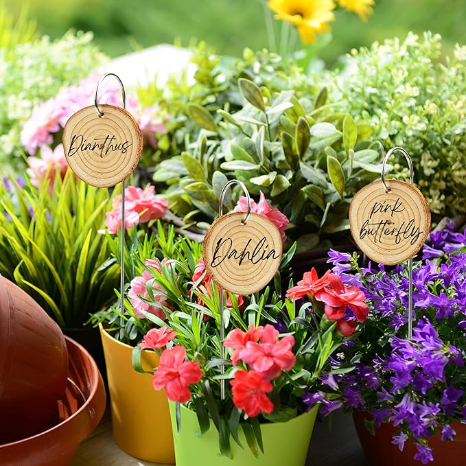 Temlum Wooden Plant Labels with Marker Pen, 25 Pcs Garden Markers Garden Label Stakes Plant Sign Tags for Flowers, Herbs, Potted Plants, Seed