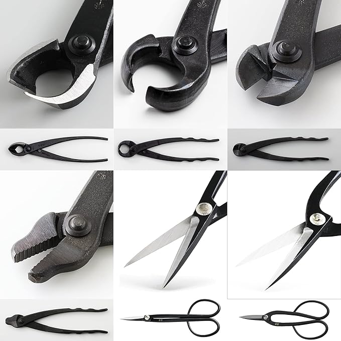 Wazakura Japanese 6PCS Bonsai Scissors and Branch Cutter Tool Kit with Roll Bag: Japanese Yasugi Steel Twig and Satsuki Bonsai Scissors, Concave Branch Cutter, Knob Cutter, Jin Plier, Wire Cutter