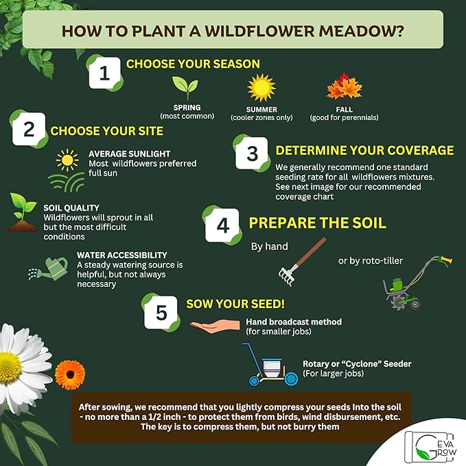 Wildflower Seed Mix 1LB Tub - Save The Bees Seed Mix, by GevaGrow | Bulk 300,000+ Seeds | Pollinator & Bee Attracting Flower Seeds Bulk for Planting in Pots & Outdoor Gardens | 1 Pound Tub