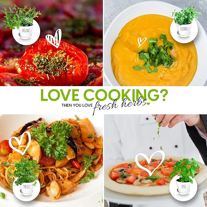 Deluxe Indoor & Outdoor Herb Garden Kit – 8 or The Most Popular Culinary Herbs with Pots & Soil for Windowsill or Patio Growing