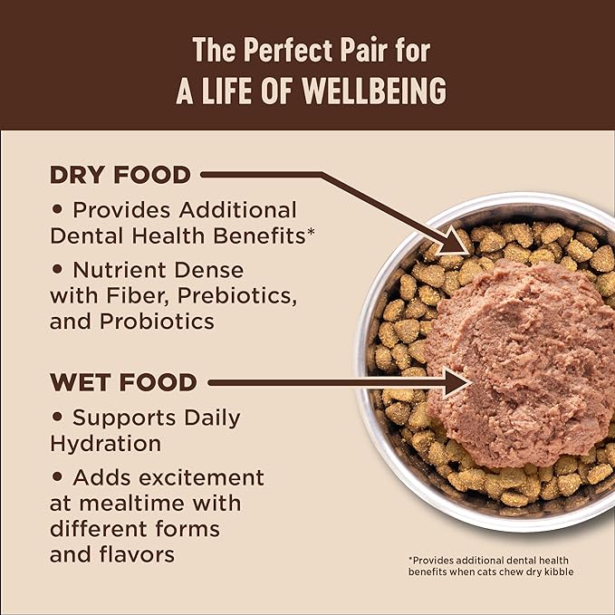 Wellness CORE Adult Dry Cat Food, Grain Free Kibble, Turkey and Duck Recipe - Image 6