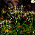 Solar Garden Lights Outdoor: Waterproof 2-Pack DIY Decorative Firework Lights by Unknown