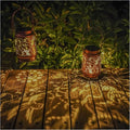 2 Pack Solar Hummingbird Lanterns Outdoor Hanging Decor Lantern, Waterproof by AITENISEN