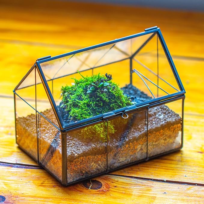 NCYP Mini Glass Terrarium with Lid - 6.1" x 4.25" x 4.92" House Shape Closed Planter Pot for Small Cactus, Succulents Plant - Home Garden Office Tabletop Geometric Decor, Black (Terrarium Only)