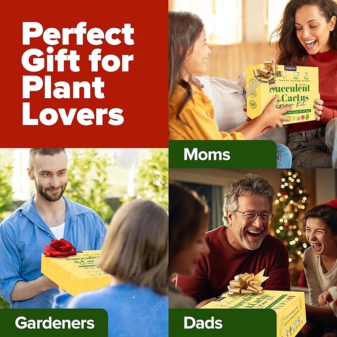 HOME GROWN Deluxe Succulent & Cactus Seed Grow Kit - Complete Indoor Plant Kit with Cactus Seeds, Potting Soil, Ceramic Pots, Drip Trays, and Grow Guide for Plant Enthusiasts