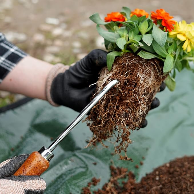 Root Hook Japanese Garden Tool for Loosing Soil, Heavy Duty Japanese Steel, Root Pick Tool for Repotting Bonsai and Transplanting Flower, Made in Japan, Silver