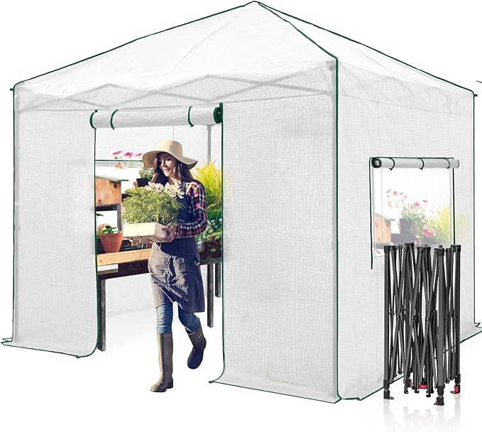 EAGLE PEAK 10x10 Portable Walk-in Greenhouse, Pop-up Indoor Outdoor Garden Green House, Zippered Doors and Windows, PE Cover, White