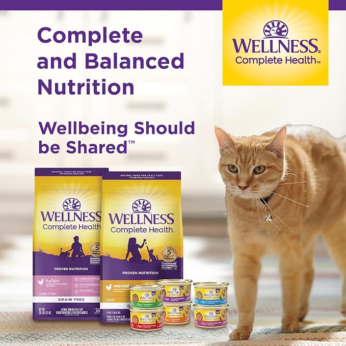 Wellness Complete Health Healthy Weight Adult Dry Cat Food - Image 6