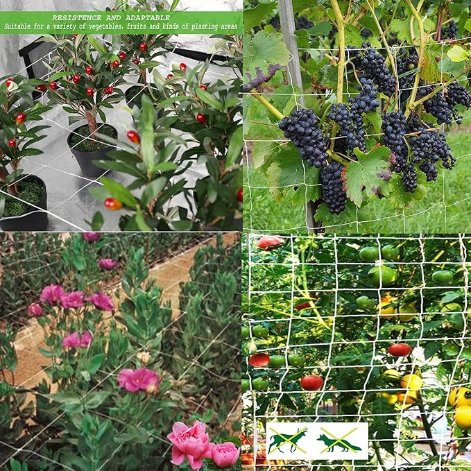 All-Weather Trellis Netting Mesh Plant Garden Vine Growing Flexible String Net (6" Mesh ployester, 5' Wx 30'L)