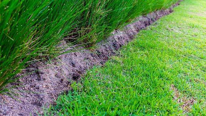 Brownie Brand Majestic Hulled Bermudagrass Seed | Premium Turf Grass for Dense, Drought-Resistant Lawns | Fast-Growing, Heat-Tolerant, Certified Seed for High-Traffic Areas. (50 Pound)