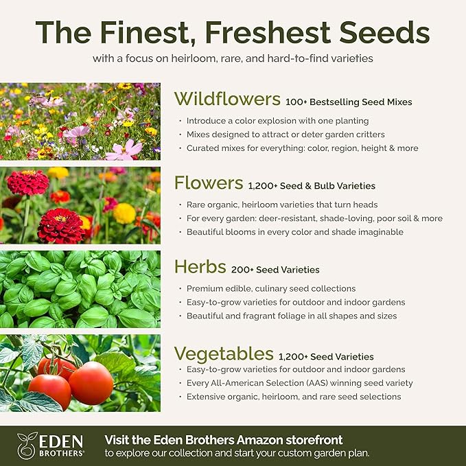Eden Brothers All Perennial Wildflower Mixed Seeds for Planting, 50 lb, 24,000,000+ Seeds with Lupine, Shasta Daisy | Attracts Pollinators, Plant in Spring or Fall, Zones 3, 4, 5, 6, 7, 8, 9, 10
