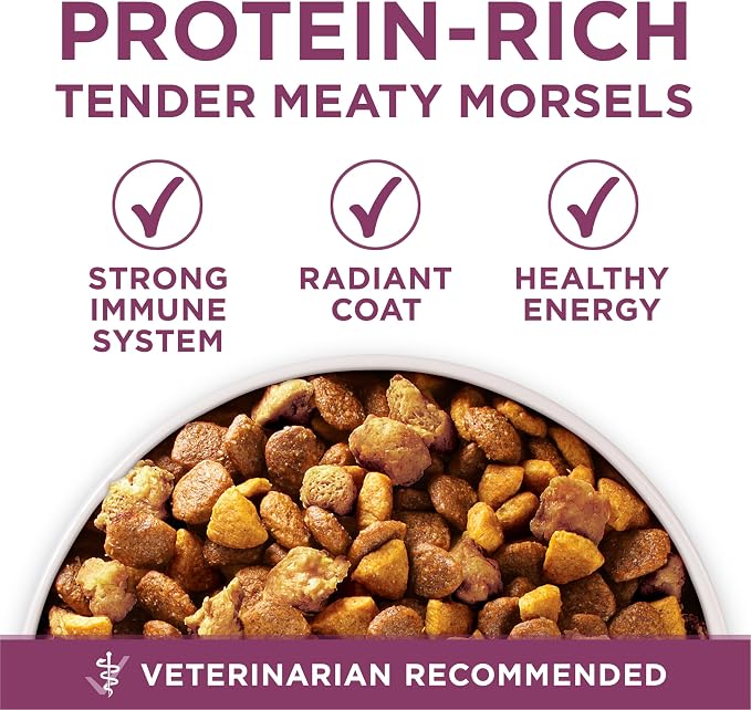 Purina ONE Plus Healthy Puppy Formula High Protein Natural Dry Puppy Food - Image 7