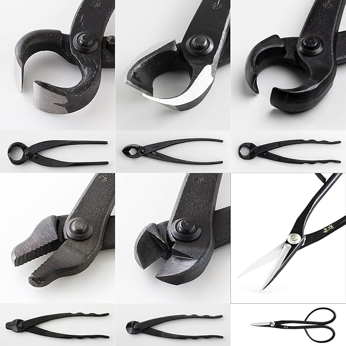 Wazakura Made in Japan 6PCS Bonsai Professional Tool Kit with Roll Bag: Japanese Yasugi Steel Satsuki Bonsai Scissors, Concave Branch Cutter, Knob Cutter, Jin Plier, Wire Cutter, Root Cutter