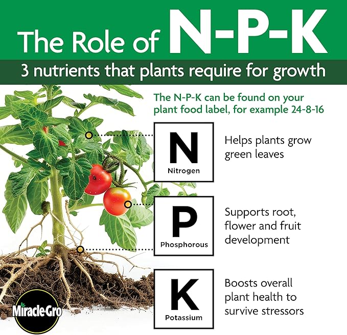 Miracle-Gro Shake 'N Feed All Purpose Plant Food, For In-Ground and Container Plants, Feeds for up to 3 Months, 4.5 lbs.