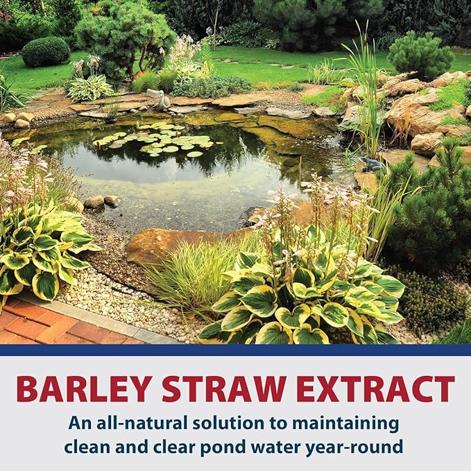 The Pond Guy Barley Extract Natural Liquid Treatment for Ponds and Water Gardens, Safe for Koi Fish and Plants, Natural Solutions for Clear Pond Water - 1 Gallon