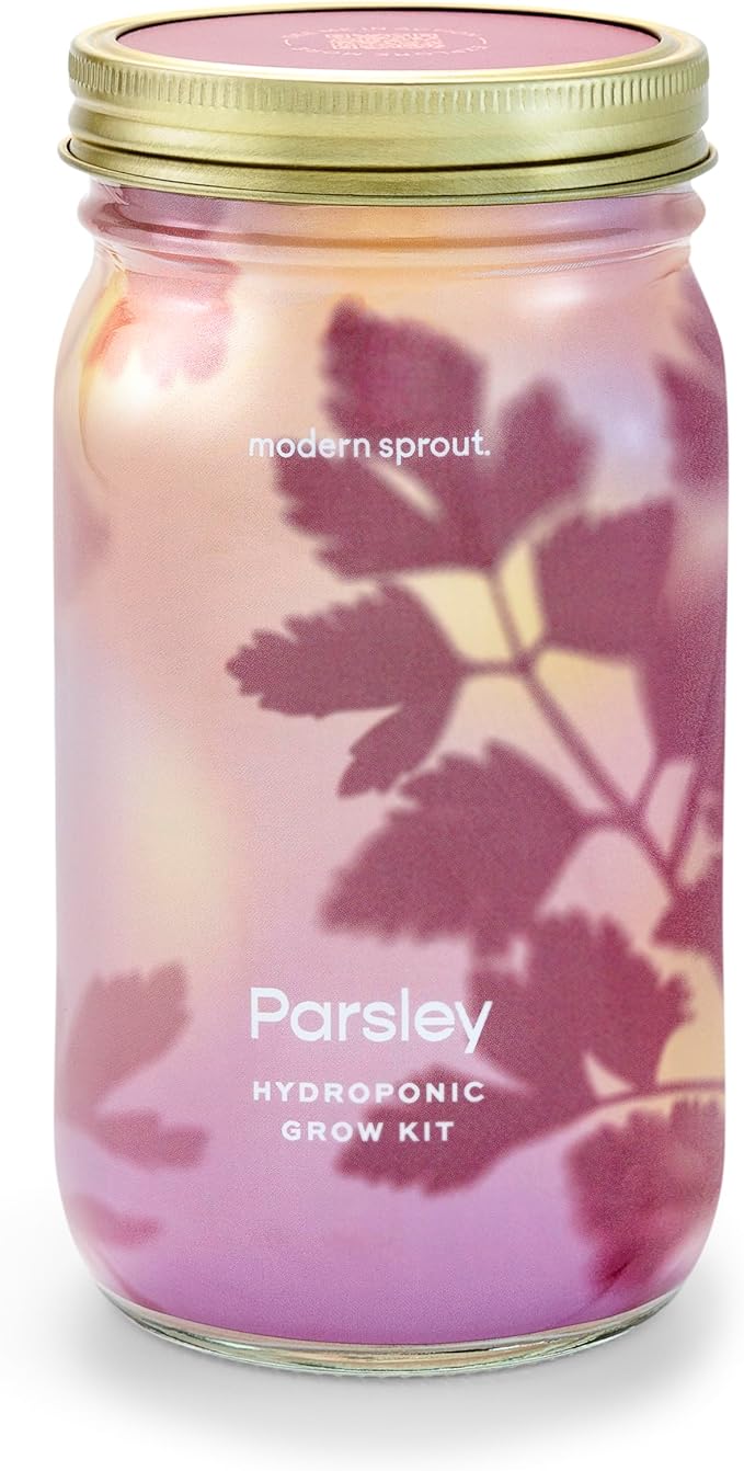 Modern Sprout Mason Garden Jar - Self-Watering Hydroponics Growing System Kit with Organic Herb Seeds - Jar Planter for Indoor Herb Garden - Seed Starter Kit - Home Decor & Gifting - Parsley