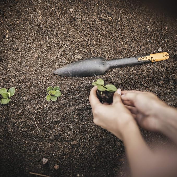 Fiskars 340110-1001 Seed Planting Trowel, Black