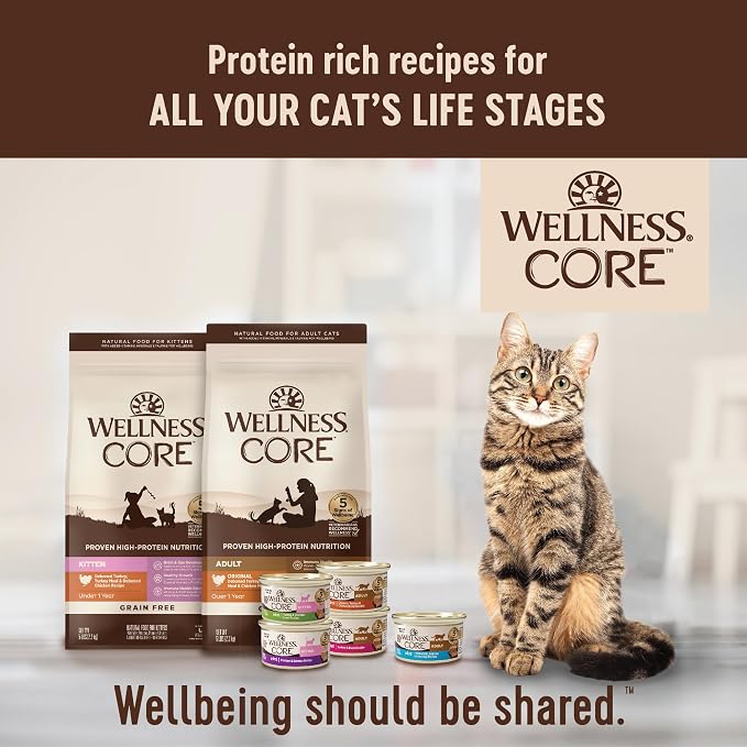 Wellness CORE Adult Dry Cat Food, Grain Free Kibble, Turkey Meal and Chicken - Image 8