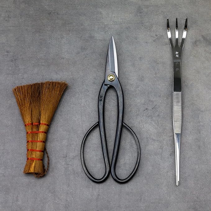 Wazakura Japanese Bonsai Garden 3PCS Tool Starter Kit, Made in Japan, Ashinaga Bonsai Scissors, Stainless Tweezers with Rake, Chinese Broom. Beginner Set with Shears, Tweezers and Soil Brush