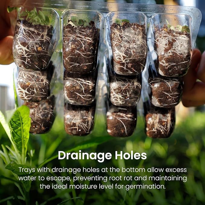 MIXC 6-Pack Seed Starter Tray with Plant Light,Seedling Trays with Adjustable Humidity Domes & Clear Cell Trays 12 Full Spectrum LED Beads for Indoor Plant Growth(Transparent)