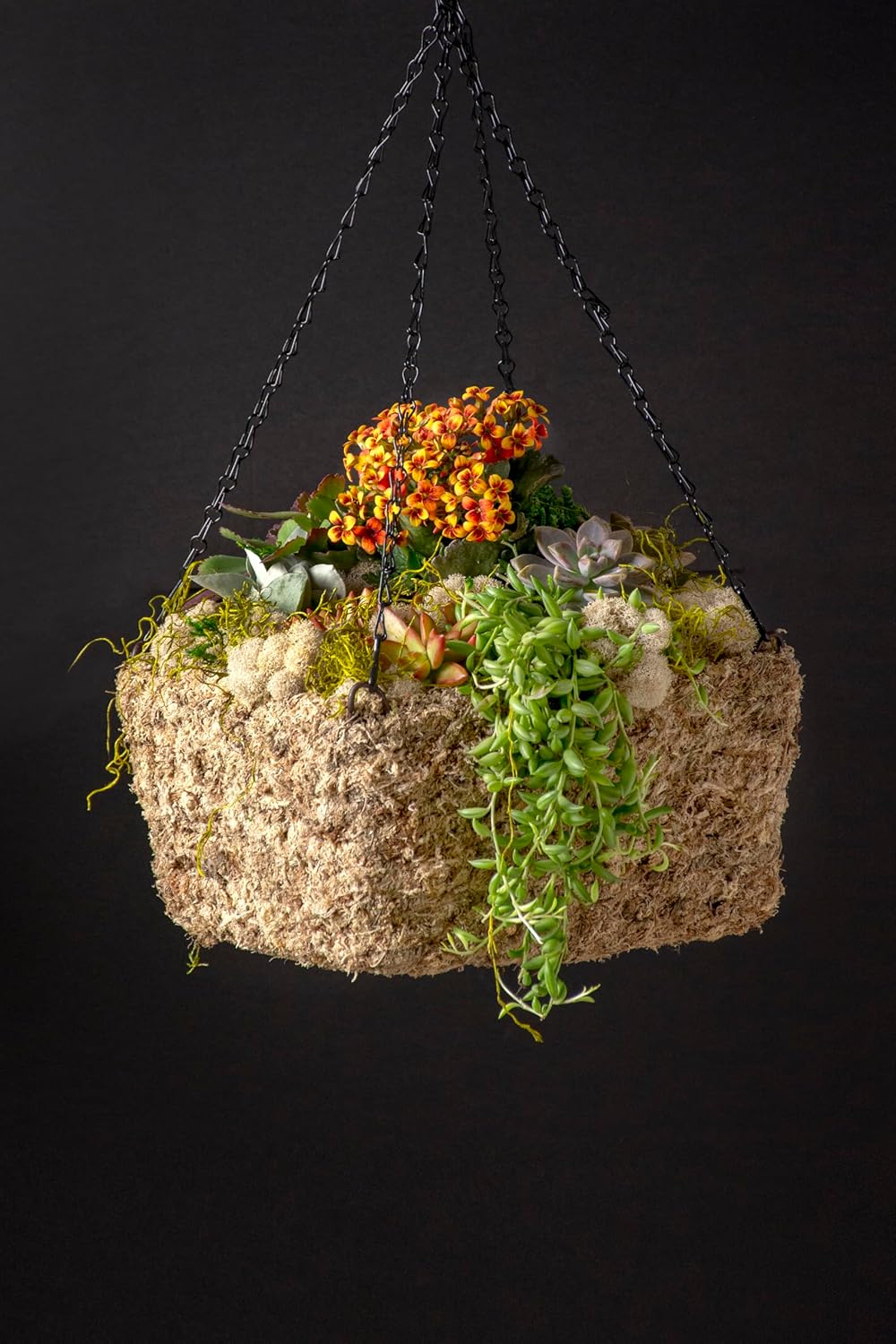 SuperMoss (29249D MossWeave Hanging Basket | Outdoor Hanging Planter with Moss | Decorative Plant Hanger for Porch, Balcony, Garden & Home Décor, Square, Small 10.5” D, Blond