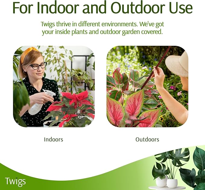 Twigs - Plant Support Stakes for Indoor, Outdoor & Climbing Plants, Gardening Supplies, Garden Accessories, Trellis & Ring Alternative, Made in USA - Begonia (Red), 10 Pack, 12" L, Mini Twigs