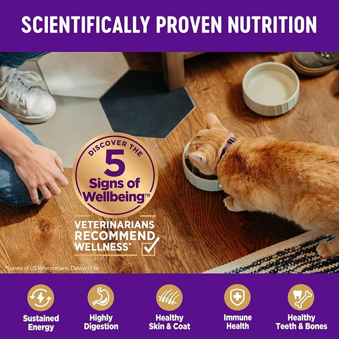 Wellness Complete Health Adult Dry Cat Food, Grain Free Kibble, Chicken Recipe - Image 4