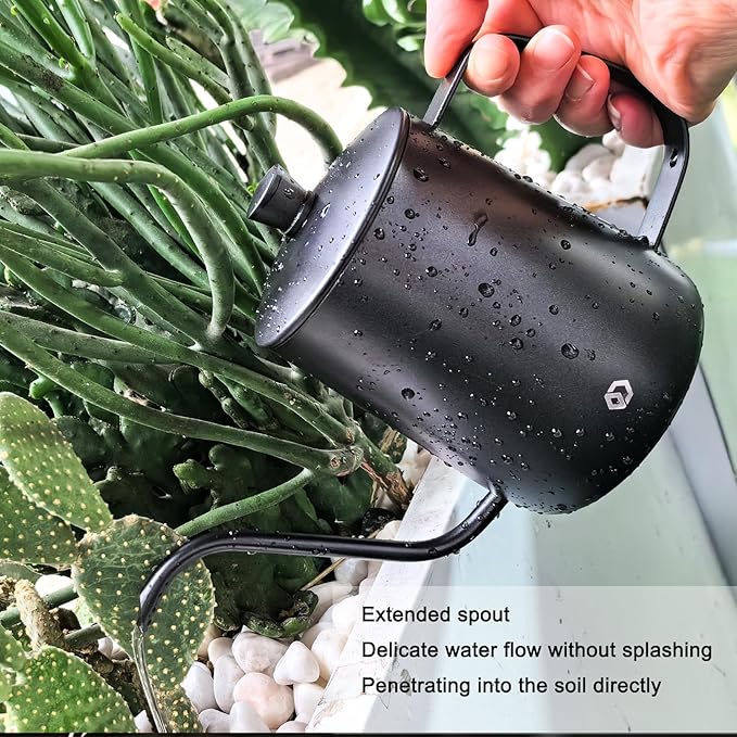 OFFIDIX Watering Can for Indoor Plants,Long Spout Metal Stainless Steel 21 oz/600 ml Watering Can with 14 oz/400ml Glass Plant Mister Spray Bottle for Plant Bonsai