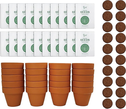 BUZZY Daisy Seeds & Genuine Terracotta 5cm Mini Pot Bulk Pack (20 Count), Includes 20 Each of pots, Soil pellets and Seeds - Great for Favors, Crafts, School Projects - Guaranteed to Grow