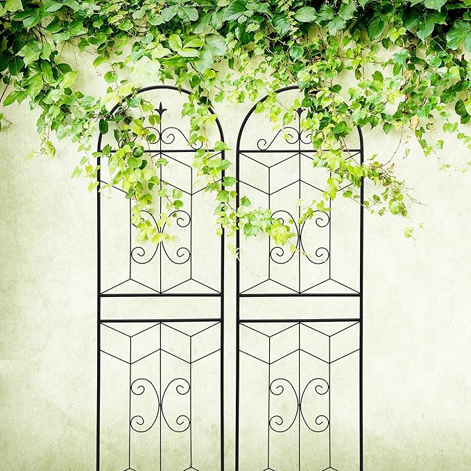 Metal Garden Trellis Rustproof Trellis for Climbing Plants Outdoor Flower Support (Black-2 Pack, 71"x19.7")
