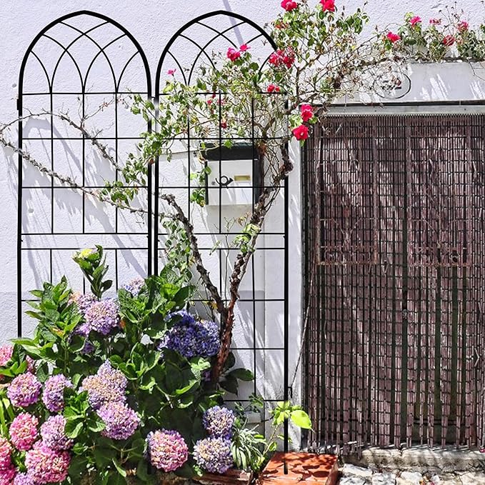 LZRS 2 Pack 71x20in Rustic Iron Arch Decoration Garden Trellis with Black Metal Coating – Perfect for Supporting Climbing Plants Outdoor, Roses, Vines, Flowers, and Vegetables.
