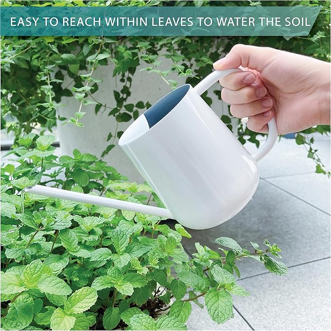 Metal Watering Can for Indoor Houseplants Outdoor Garden Long Sprout Water Can for Succulents Herb Bonsai Modern Garden Tool 33.8oz/1000ml (Brilliant White)