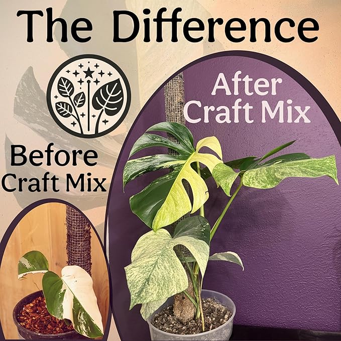Craft Aroid Potting Mix- Elite Alocasia, Philodendron, Monstera Soil Mix, Chunky, Well Draining Potting Soil for Indoor Plants, All Tropical Plants & Houseplants, Synthetic & Peat Free 8QT
