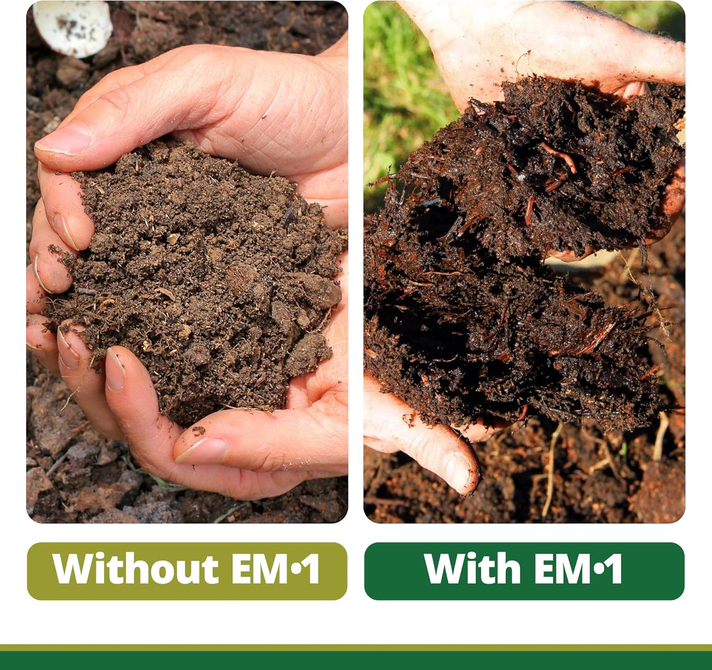 TeraGanix Compost Accelerator (1 Bottle = 22 Gallons), Reduce Odors, Liquid Compost Starter Concentrate, Reduce Composting Time, USDA Organic, 1 Quart (32 fl oz)