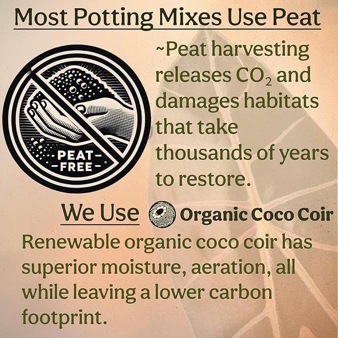 Craft Aroid Potting Mix- Elite Alocasia, Philodendron, Monstera Soil Mix, Chunky, Well Draining Potting Soil for Indoor Plants, All Tropical Plants & Houseplants, Synthetic & Peat Free 8QT